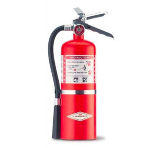 Amerex Regular Chemical Fire Extinguisher